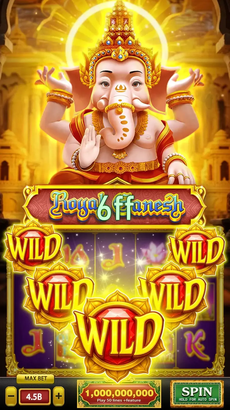6ff Login